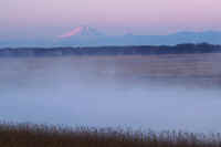 12-2017121808290-1.jpg (41360 �o�C�g)