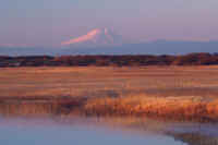 12-2017121808297-1.jpg (54585 バイト)