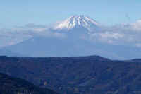 12-2023120305490-1.jpg (51616 バイト)