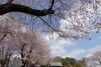 04-2026032804482-1.jpg (137982 �o�C�g)