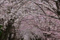 13-2026032804449 -1.jpg (179883 �o�C�g)