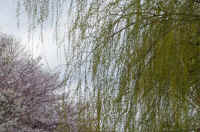 15-2026032804452-3.jpg (159683 �o�C�g)