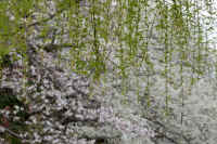 16-2026032804454.jpg (123283 �o�C�g)