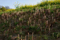 2025041200792-1.jpg (133688 oCg)