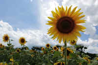 2025080801683-1.jpg (86964 oCg)