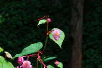 2025090101887-1.jpg (127865 oCg)