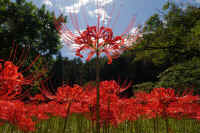 2025092601983-1.jpg (129947 oCg)