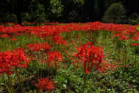 2025092601990-1.jpg (131718 oCg)