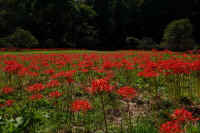 2025092601996-1.jpg (123344 oCg)