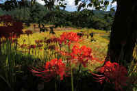 2025092602003-1-1.jpg (122813 oCg)