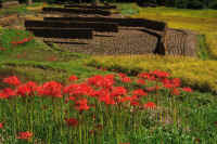 2025092602007-1-1.jpg (153454 oCg)