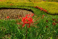 2025092602017-1.jpg (163781 oCg)