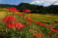 2025092602022-1-1.jpg (138317 oCg)