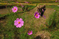 2025092602035-1-1.jpg (140626 oCg)