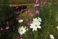 2025092602039-1.jpg (118139 oCg)