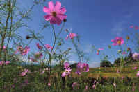 2025092602041-1.jpg (116468 oCg)