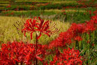 2025092602049-1.jpg (126947 oCg)