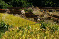 2025092602052-1.jpg (160902 oCg)