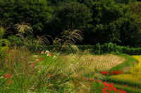 2025092602054-1.jpg (144574 oCg)