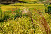 2025092602055-1.jpg (154203 oCg)