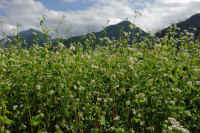 2025092602077-1.jpg (142453 oCg)