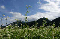 2025092602083-1.jpg (108330 oCg)