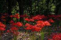 2025092602097-1.jpg (141353 oCg)