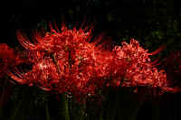 2025092602099-1.jpg (241268 oCg)