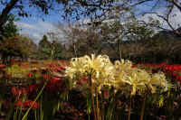 2025092602104-1.jpg (140508 oCg)