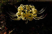 2025092602110-1.jpg (79973 oCg)