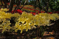 2025092602114-1.jpg (314954 oCg)