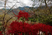 2025092602120 -1.jpg (125397 oCg)