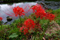 2025092602131-1.jpg (148867 oCg)