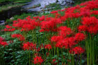 2025092602144-1.jpg (138043 oCg)