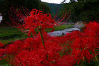 2025092602145-1.jpg (84473 oCg)