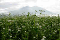 2025100602239-1.jpg (110792 oCg)