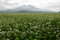 2025100602244-1-1.jpg (116515 oCg)