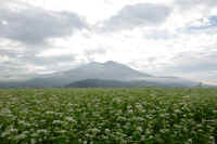 2025100602246-1.jpg (87077 oCg)