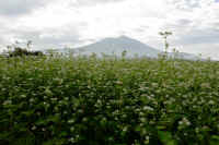 2025100602251-1-1.jpg (101174 oCg)