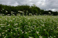 2025100602259-1.jpg (279597 oCg)