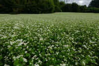 2025100602261-1.jpg (145567 oCg)