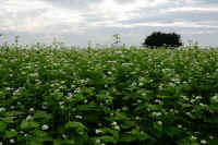 2025100602271-1.jpg (109495 oCg)