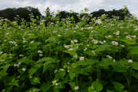 2025100602278-1.jpg (116602 oCg)