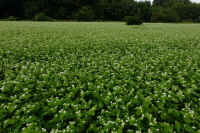 2025100602280-1.jpg (146835 oCg)