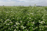 2025100602287-1-1.jpg (139628 oCg)