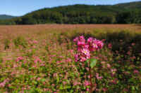 2025101702307-1-1.jpg (85554 oCg)