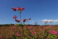 2025101702320-1.jpg (83297 oCg)