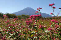 2025101702325-1.jpg (111834 oCg)