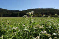 2025101702329-1-1.jpg (125328 oCg)