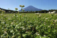 2025101702333-1.jpg (139534 oCg)